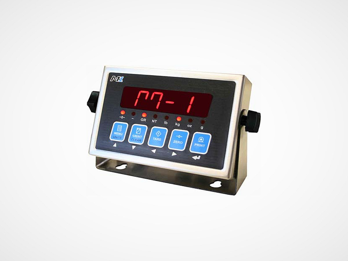 Western Scale M1 Indicator